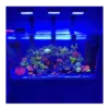 Chihiros LED NOVA 1